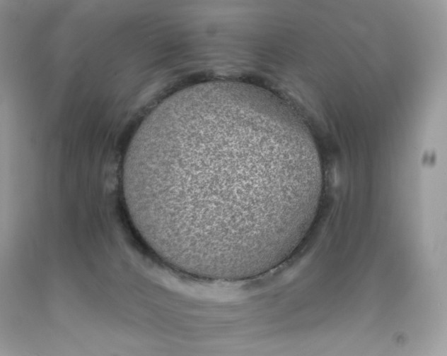 X0000091700032200709141108