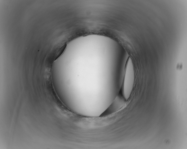 X0000091700033200709141108