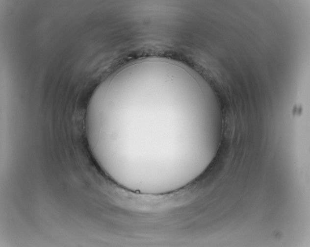 X0000091700034200709141108