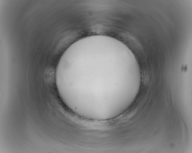 X0000091700036200709141108