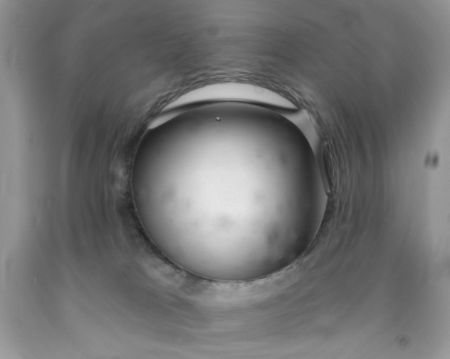 X0000091700037200709141108