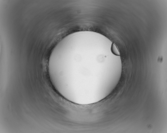 X0000091700038200709141108