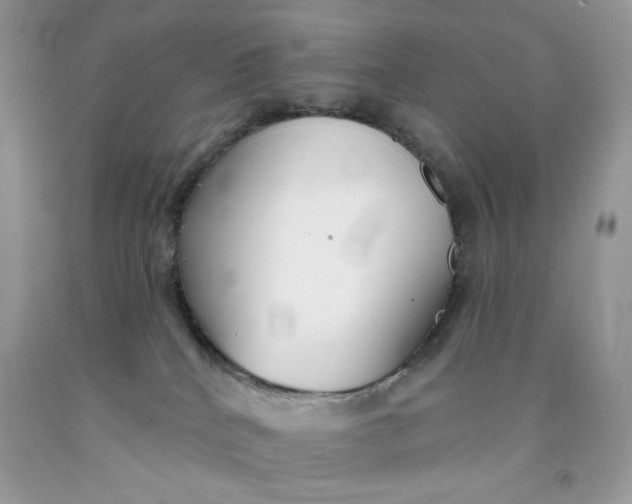 X0000091700040200709141108