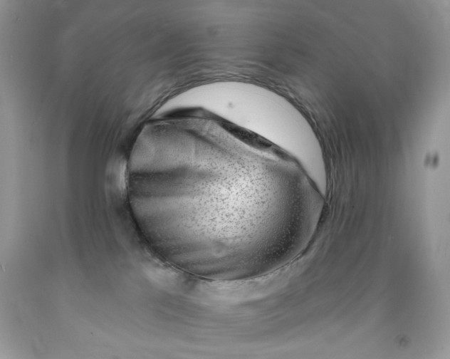 X0000091700041200709141108