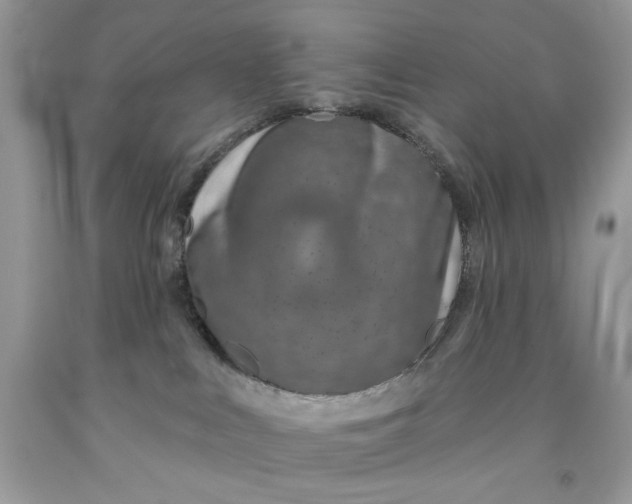 X0000091700043200709141108