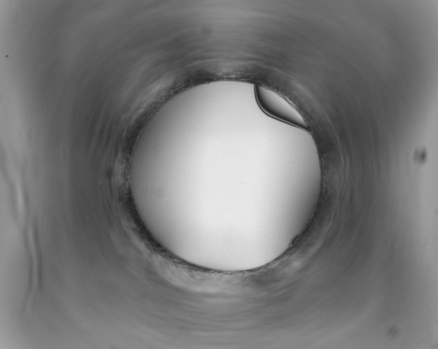 X0000091700044200709141108