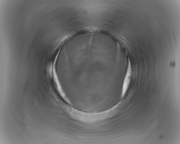 X0000091700047200709141108