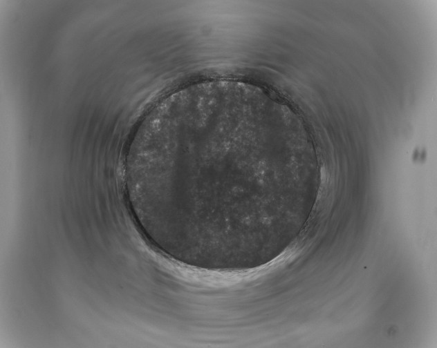 X0000091700048200709141108