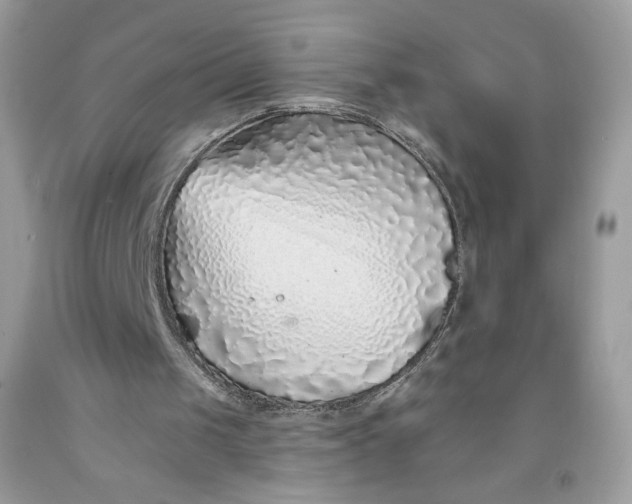 X0000091700049200709141107