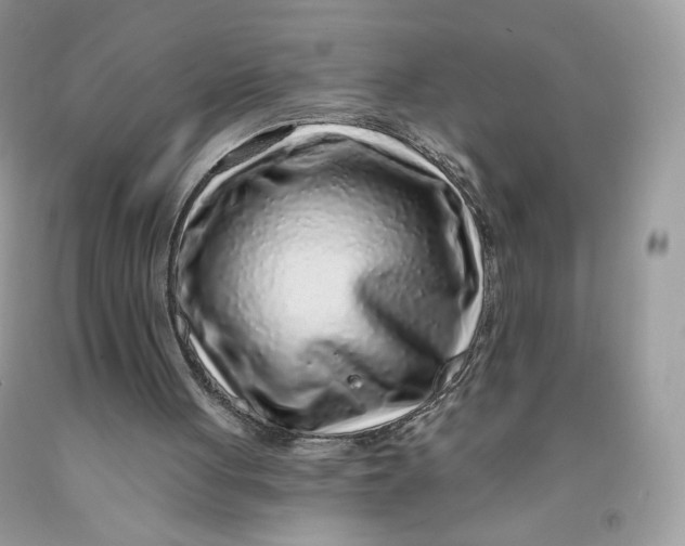 X0000091700051200709141108