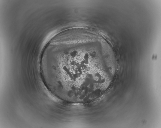 X0000091700053200709141108