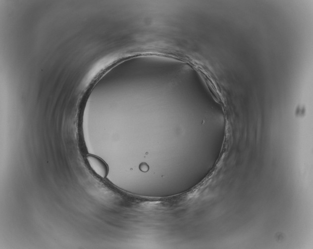 X0000091700054200709141108