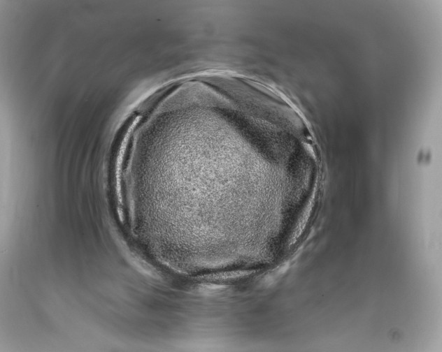 X0000091700055200709141108