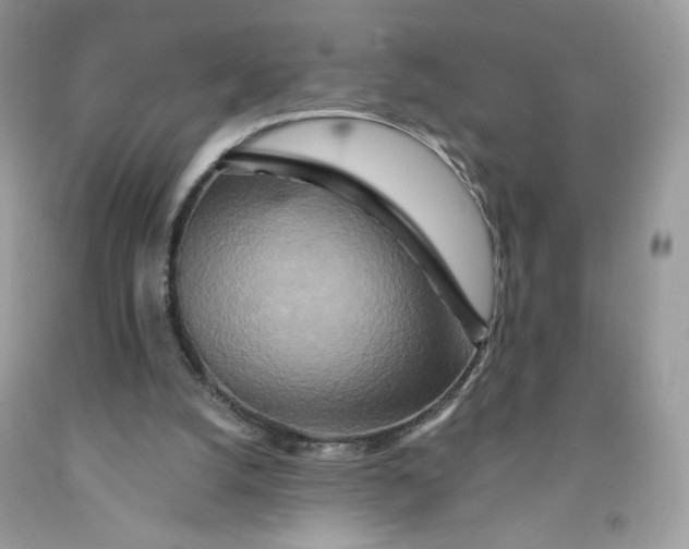 X0000091700056200709141108