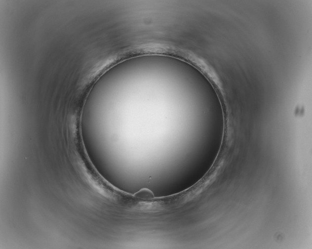 X0000091700057200709141108