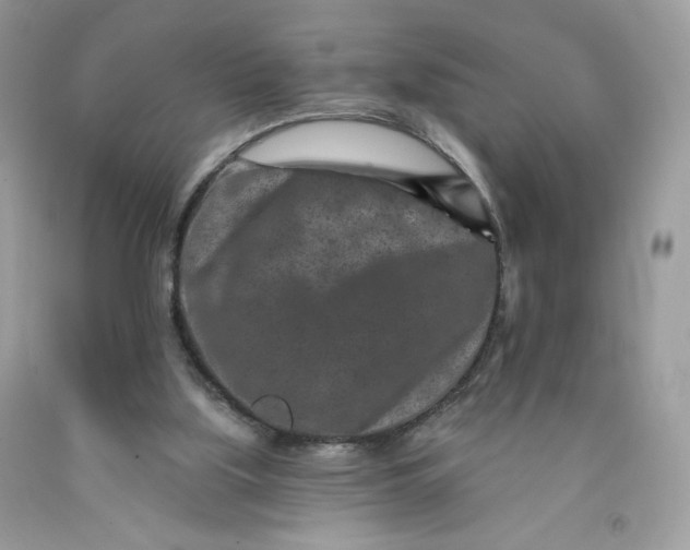 X0000091700059200709141108