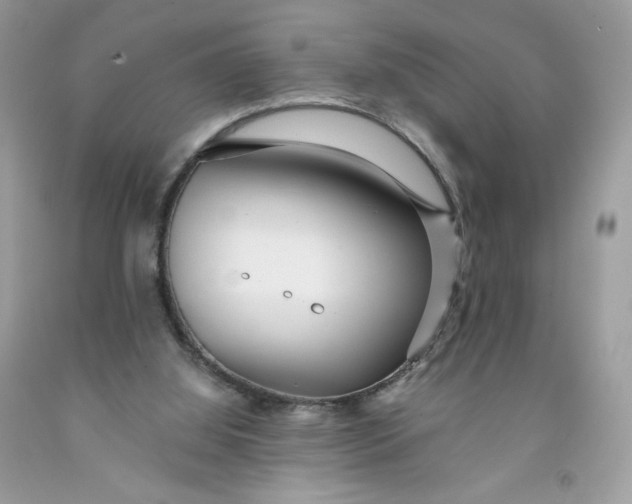 X0000091700060200709141108