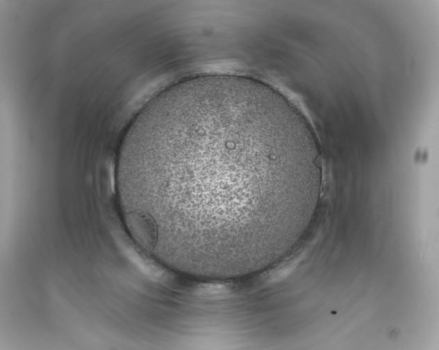 X0000091700061200709141108