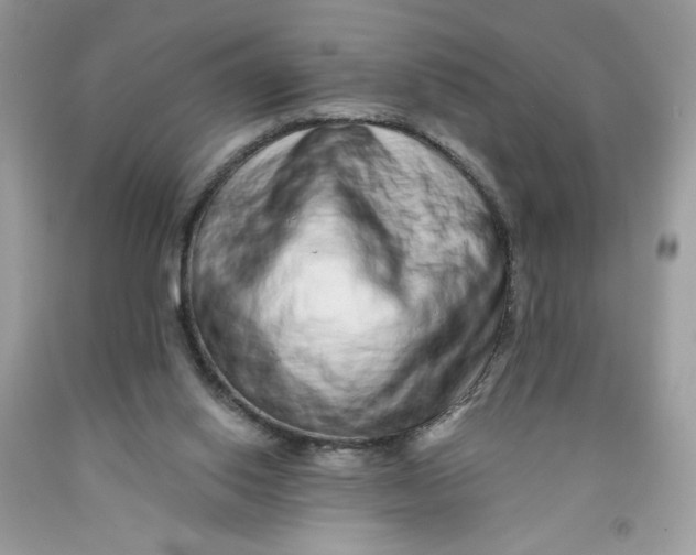 X0000091700062200709141108