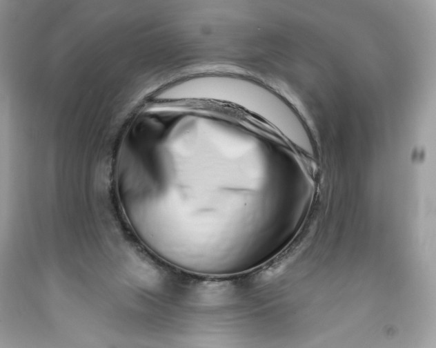 X0000091700063200709141108