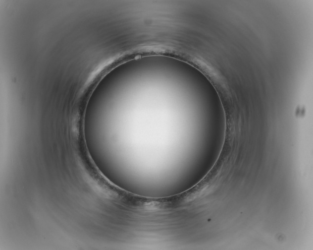 X0000091700064200709141108