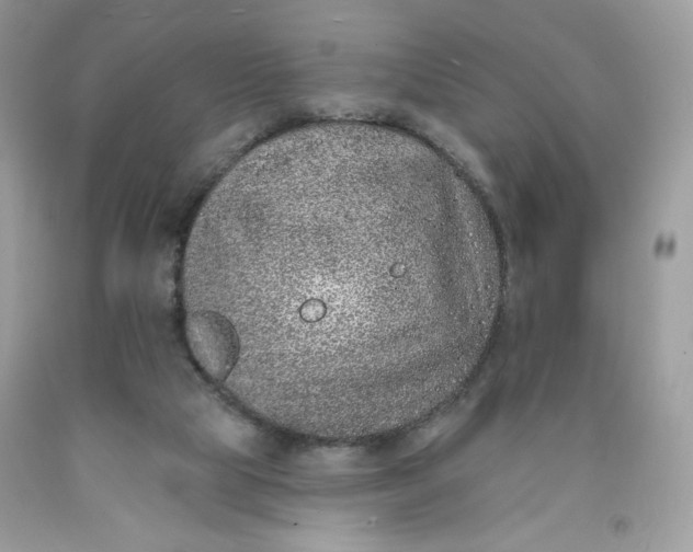 X0000091700065200709141108