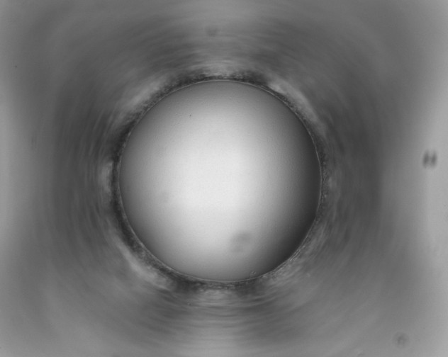 X0000091700066200709141108