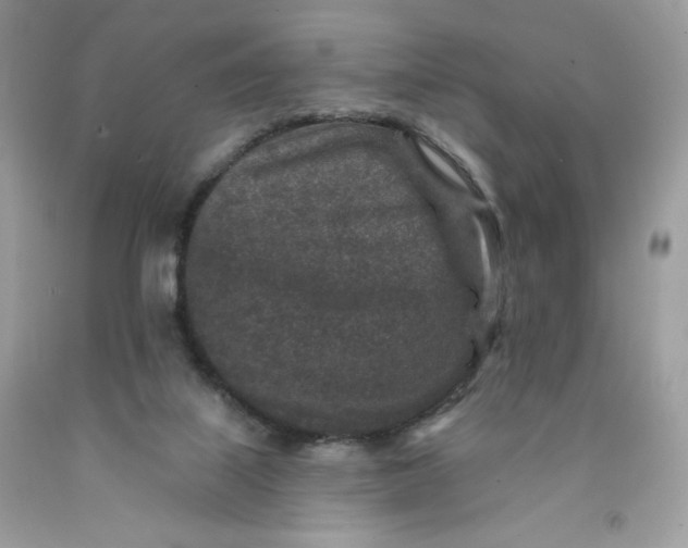 X0000091700067200709141108