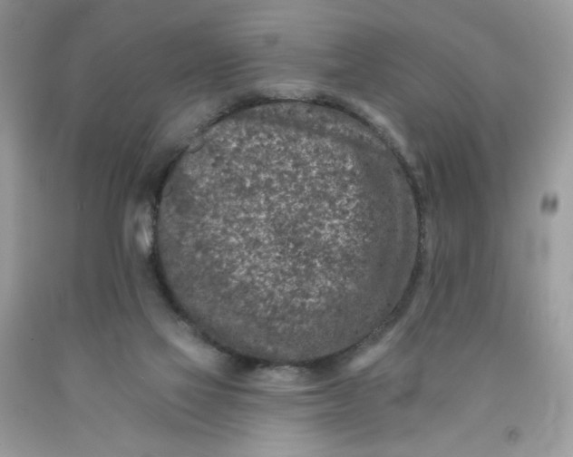 X0000091700069200709141108