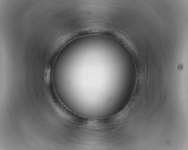 X0000091700070200709141108