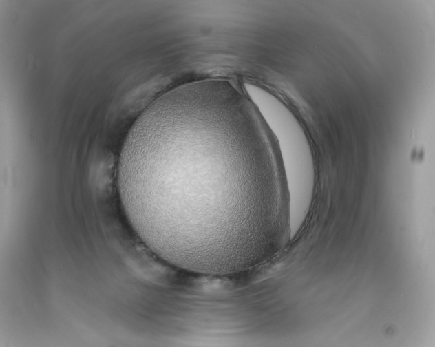 X0000091700073200709141108