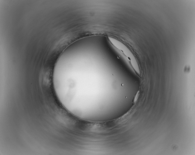 X0000091700074200709141108