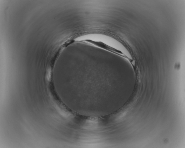 X0000091700076200709141108