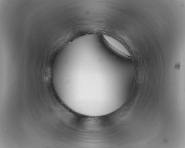 X0000091700077200709141108