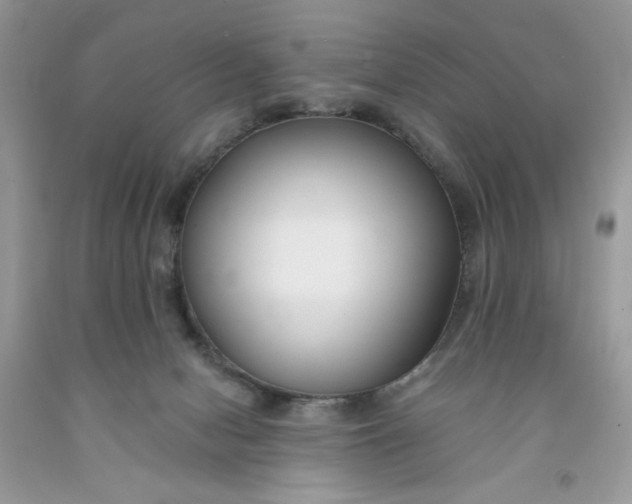 X0000091700078200709141108