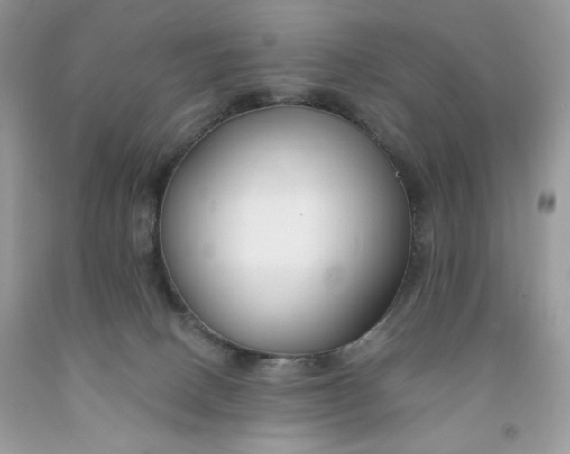 X0000091700082200709141108