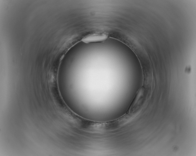 X0000091700084200709141108