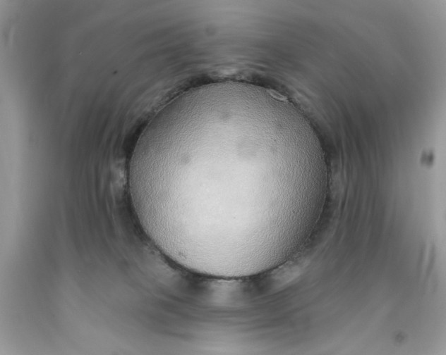 X0000091700085200709141108