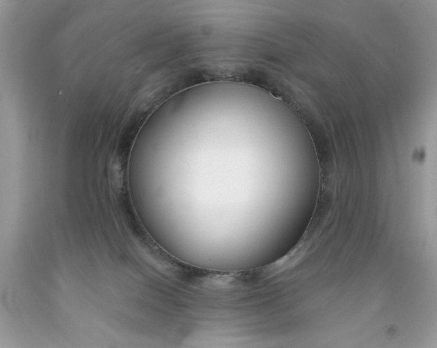 X0000091700086200709141108