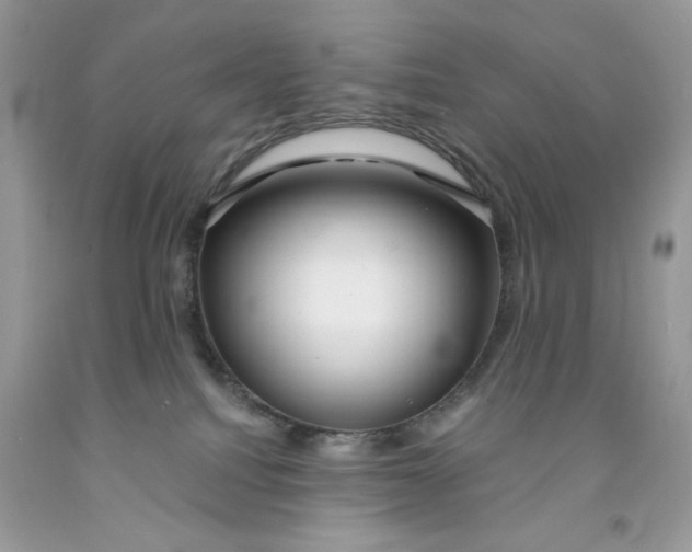 X0000091700088200709141108