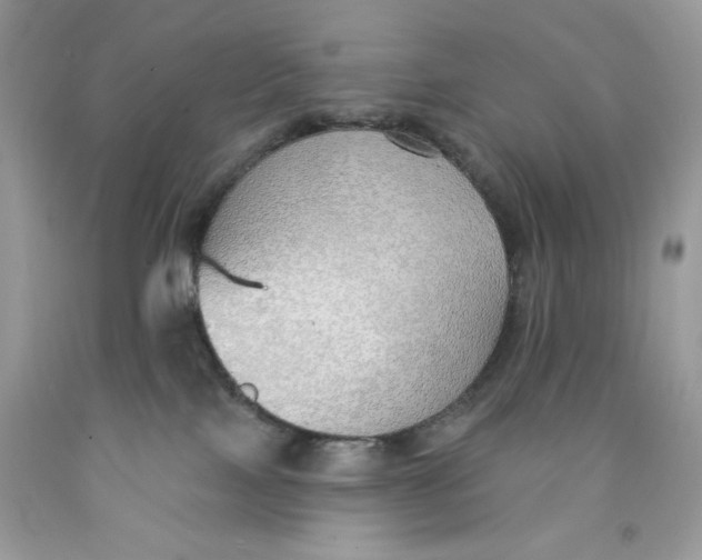 X0000091700089200709141108