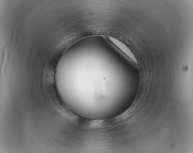 X0000091700090200709141108