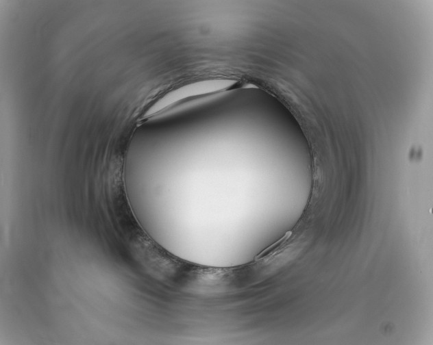 X0000091700096200709141108