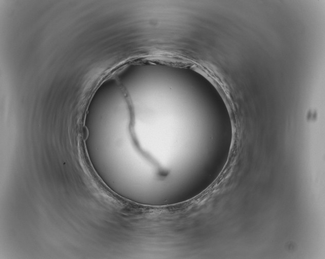 X0000091700097200709141107