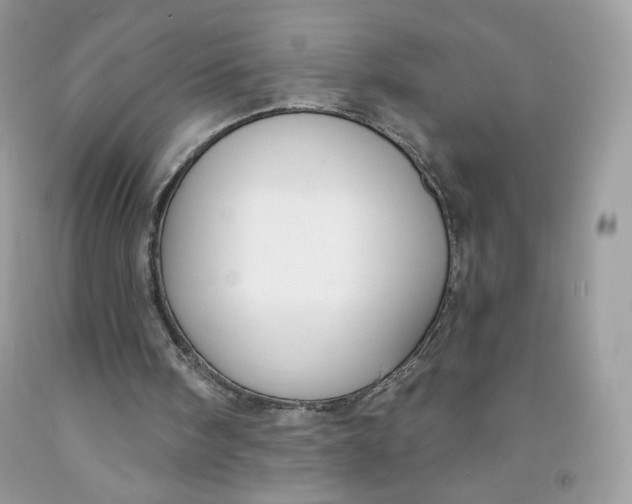 X0000091700098200709141107