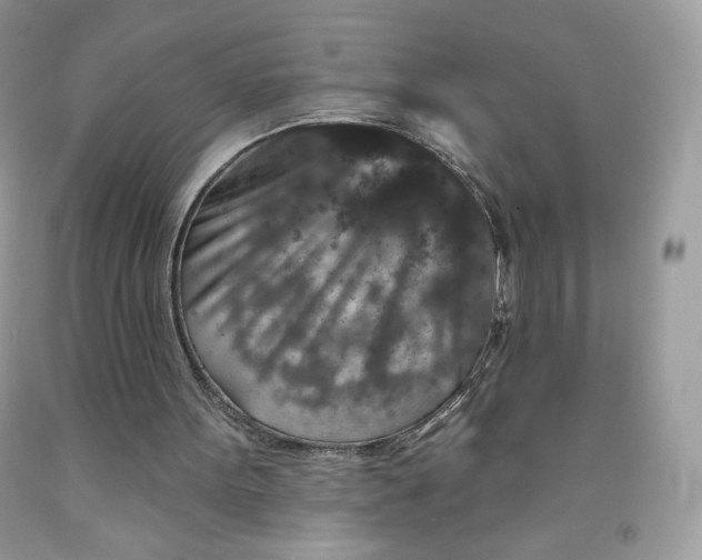 X0000091700099200709141107