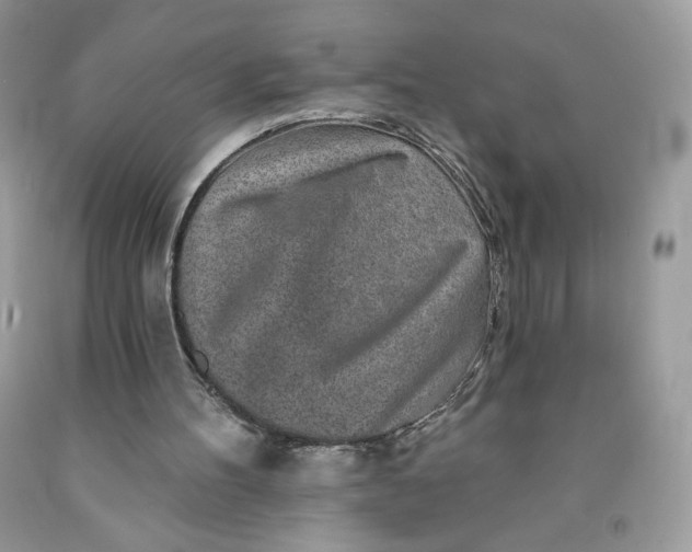 X0000091700100200709141107