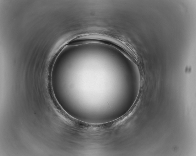 X0000091700101200709141107