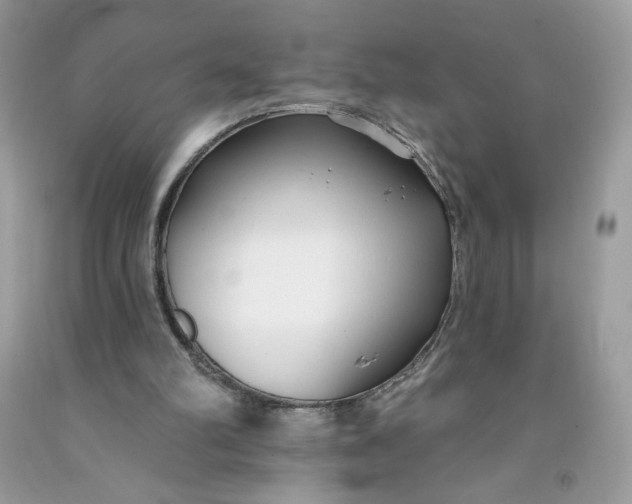 X0000091700102200709141107