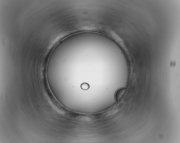 X0000091700106200709141107